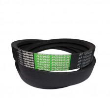 Ремень 554031.0 (1004506) OPTIBELT