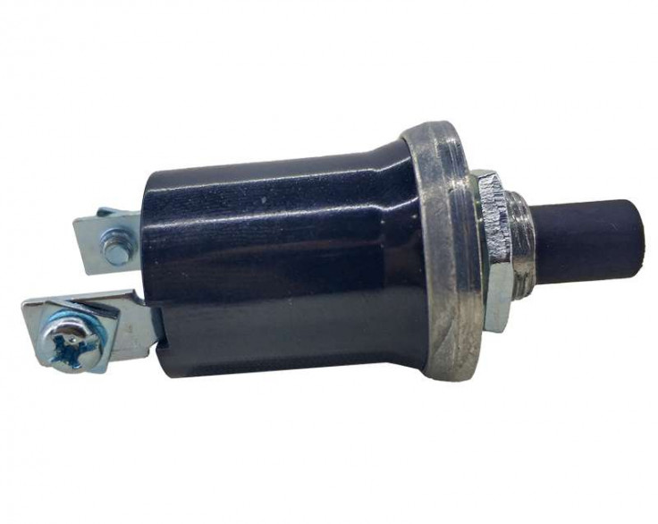 Вимикач маси ВК-322 кнопковий, двоклемний