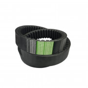 Ремінь зубчастий 76-31-3050 La (H221498) OPTIBELT