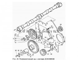 22) Двигатель - Распределительный вал и шестерни Д144-0000150