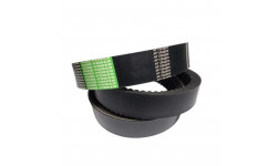 Ремень зубчатый 1005473 (244237) OPTIBELT